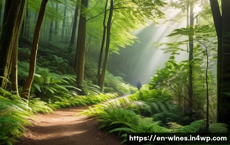 자연을 통한 심리 치료법 - A serene forest trail scene in early morning light, featuring a diverse group of adults casually wal...